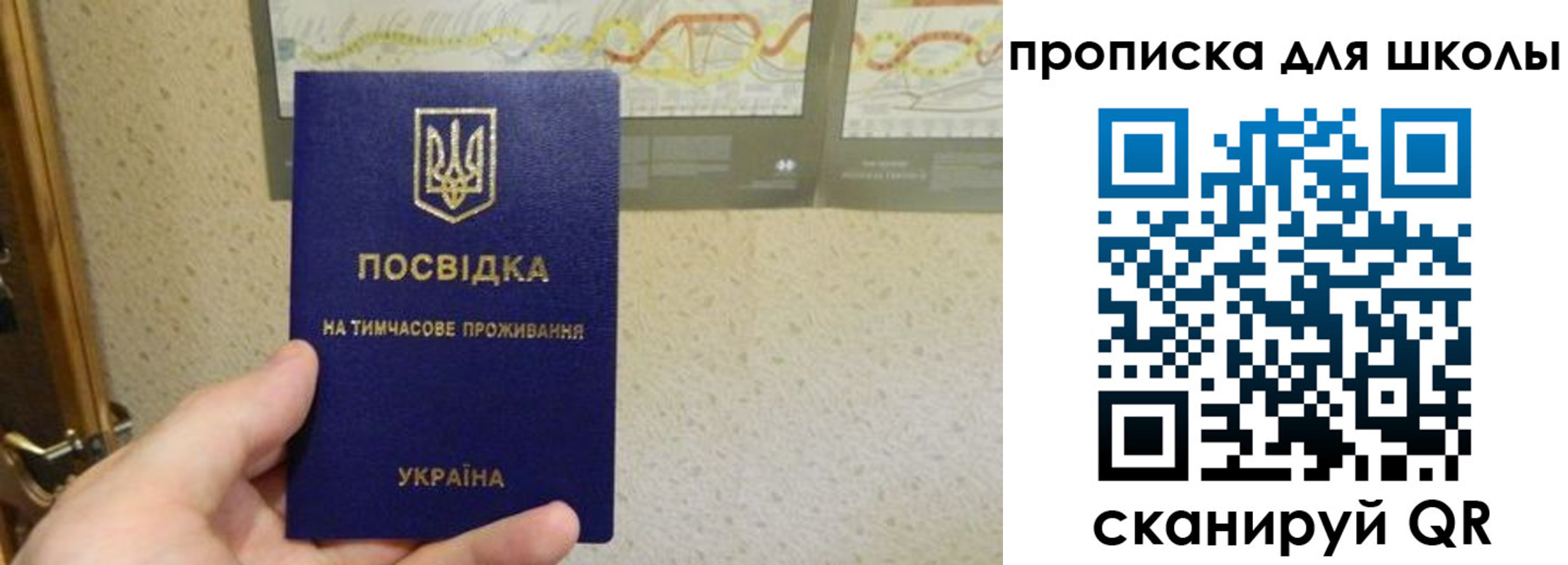 найти адрес прописки в Зеленоградске